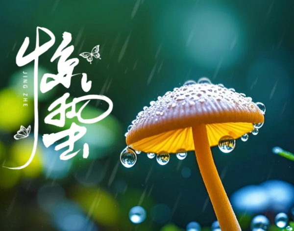 惊蛰·茶醒时|阿狗手打手作首波“明前龙井鲜奶茶”，一口尝尽江南春韵
