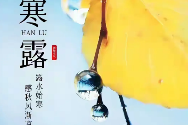 wechat_2025-10-08_171136_358.png